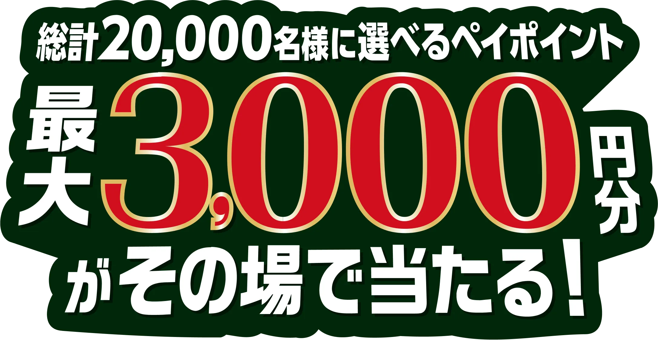 総計20,000名様に選べるペイポイント 最大3,000円分がぞの場で当たる!